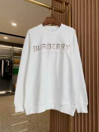 Picture of Burberry Sweatshirt _SKUBurberryS-2XLaztx873130984